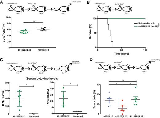 Figure 4. CAR T cells retain effector function when additional CD28 costimulation is not received. A, Peripheral blood was assessed for B-cell aplasia by detecting CD19+CD3− cells through flow cytometry. Relative B-cell aplasia was not observed as CAR T cells were targeted toward MUC16ecto (ns by unpaired t test). Data shown are mean ± SEM of three independent experiments (n = 5–8 per group). B, C57BL/6 mice were injected intravenously with EL4(MUC16ecto) tumor cells and then treated with CAR T cells 1 day later. The percentage of survival is indicated. Data were obtained from two independent experiments, and the significance of *, P ≤ 0.0001 was determined through log-rank Mantel–Cox test, with 95% confidence interval (n = 5–10 mice per group). C, C57BL/6 mice were injected intravenously with EL4(MUC16ecto) tumor cells and treated with CAR T cells 1 day later. Seven days later, IFNγ and TNFα cytokine concentrations in the peripheral blood were measured. Significance determined through one-way ANOVA (n = 2–5 mice per group). Data shown are the mean ± SEM of two independent experiments. D, CAR T cells were isolated by FACS from the bone marrow, cocultured with EL4 (MUC16ecto; luciferase) tumor targets, and then assessed for cytotoxicity 24 hours later, using a luciferase killing assay. Data shown are mean ± SEM of two independent experiments. Significance of *, P = 0.0351 was determined by unpaired t test (n = 5–6 per group). ns, not significant.