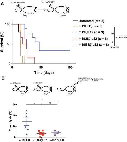 Figure 5. Excessive CD28 and 4-1BB costimulation can drive T-cell dysfunction. A, EL4mCD19 tumor–bearing C57BL/6 mice, not pretreated with cyclophosphamide, were treated with CAR T cells 1 day after tumor inoculation. Data were obtained from two independent experiments (n = 5–9 mice per group). Significance was determined through log-rank Mantel–Cox test, with 95% confidence interval. *, P = 0.0022 m19ζIL12 compared with m19BBζIL12; *, P = 0.0042 m19ζIL12 compared with m1928ζIL12; and “ns” m1928ζIL12 compared with m19BBζIL12. B, CAR T cells were isolated by FACS from the bone marrow, selected for CD8+ T cells, cocultured with EL4mCD19 tumor targets, and then assessed for cytotoxicity 24 hours later, using a luciferase killing assay. Data shown are mean ± SEM of two independent experiments (n = 4–6 mice per group). Significance determined by one-way ANOVA: *, P = 0.0155 m19ζIL12 compared with m1928ζIL12; *, P = 0.0394 m19ζIL12 compared with m19BBζIL12; and ns m1928ζIL12 compared with m19BBζIL12. ns, not significant.