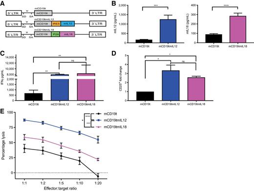 Figure 1. IL18 and IL12 enhance effector function of tumor-specific T cells in vitro. A, Schematic of retroviral constructs. B, Secretion of mIL12 or mIL18 from transduced pmel-1 T cells (n = 6; ****, P < 0.0001; and ***, P < 0.001 by unpaired t tests). Data are mean ± SEM of three independent experiments. C, IFNγ secretion from IL18- or IL12-secreting pmel-1 T cells (n = 3; **, P < 0.01 by one-way ANOVA). Data are mean ± SD from three independent experiments. D, Fold change in CD25 expression, determined by flow cytometry, of armored pmel-1 T cells compared with control following coculture with B16F10 tumor cells. (n = 3; *, P < 0.05 by one-way ANOVA). Data shown are mean ± SD from three independent experiments. E, In vitro cytotoxicity of armored pmel-1 T cells against B16F10 GFP/luc (gp100+; CD80/86−) tumor cells (n = 3; ****, P < 0.0001; ***, P < 0.001; and *, P < 0.05 by one-way ANOVA). Data are mean ± SEM of three independent experiments.