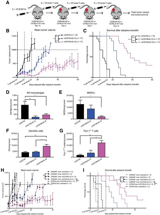 Figure 2. Adoptively transferred IL18- and IL12-secreting T cells modulate the tumor microenvironment to enhance in vivo survival without preconditioning. A, In vivo experimental protocol. KO, knockout; WT, wild-type. Tumor regression (B) and survival (C) of C57BL/6 mice bearing established B16F10 tumors and treated with armored or control pmel-1 T cells (n = 15–17; ****, P < 0.0001; and **, P < 0.01). P values for tumor growth determined by Mann–Whitney test and survival by log-rank Mantel–Cox test, with 95% confidence interval. Data are from three independent experiments. Phenotypic analysis of CD206+, Gr1−, F4/80+ M2 macrophages (D), CD11b+, Ly6C+ MDSCs (E), CD11c+, MHC II+ dendritic cells (DC; F), and Thy1.1+ pmel-1 T cells (G) from tumor samples of mice 6 days after T-cell treatment (n = 4–8; **, P < 0.01; and *, P < 0.05). Data are mean ± SEM from two independent experiments and P values determined by one-way ANOVA. Tumor regression (H) and survival (I) of CD80/CD86−/− and C57BL/6 hosts bearing B16F10 tumors and treated with armored or control pmel-1 T cells (n = 4–8; ***, P < 0.001; **, P < 0.01; and *, P < 0.05). P values for tumor growth determined by Mann–Whitney test and survival by log-rank Mantel–Cox test, with 95% confidence interval. Data shown are from two independent experiments. ns, not significant.