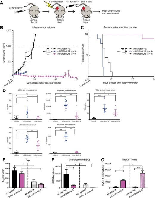 Figure 4. IL18-secreting pmel-1 T cells eradicate established tumors in sublethally irradiated tumor-bearing mice. A, In vivo experimental protocol. Tumor regression (B) and survival (C) of C57BL/6 mice bearing established B16F10 tumors and treated with armored or control pmel-1 T cells (n = 9; ****, P < 0.0001; and **, P < 0.01). D, Serum cytokine analysis 7 days after T-cell infusion (n = 8–9; ****, P < 0.0001; **, P < 0.001; and *, P < 0.05). Data shown are mean ± SD from two independent experiments. Flow cytometry counts of CD25+, FOXP3+ Tregs (E), CD11b+, Ly6G+ granulocytic MDSCs (F), and Thy1.1+ T cells (G) in tumors of both unconditioned mice (UC) and sublethally irradiated mice (IRR) 6 days after T-cell infusion (n = 4–6; ****, P < 0.0001; **, P < 0.01; and *, P < 0.05). Data shown are mean ± SEM from two independent experiments. P values for tumor growth determined by Mann–Whitney test, survival determined by log-rank Mantel–Cox test with 95% confidence interval, and cytokine and dissection data determined by one-way ANOVA.
