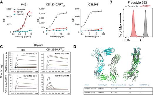 Figure 4. Loss of core fucosylation impedes the binding of CD123 to CD123-DART. A, Flow cytometric analysis of 6H6, CD123-DARTIgG, and CSL362 binding to Scramble, FUT8KO, and CD123KO MOLM13 cells. Cells were incubated with the antibodies for 30 minutes at 4°C, followed by flow cytometry analysis. Data represent three independent experiments. B, Freestyle 293 cells with Scramble and FUT8KO were generated by RNP knockout, and the knockout efficiency was evaluated by LCA staining. Data represent three independent experiments. C, SPR analysis on the binding of purified CD123His-Scramble and CD123His-FUT8KO proteins to 6H6 and CD123-DARTIgG. The antibodies were captured on the chip, and the proteins were subsequently flowed through. The association and dissociation times were set up as indicated in the plots. D, Models generated using SASREF for CD123His-Scramble (blue and green chains) and CD123His-FUT8KO (gray) superimposed using SUPCOMB as described in the Materials and Methods. Rg, Dmax, and χ2 values are displayed in the table (bottom). Chains A and G were from the dimeric 5UV8 structure used to generate the SASREF models.
