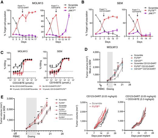 Figure 6. FUT8KO-induced resistance can be managed by dual CD3-bispecific antibody treatment. A and B, Mini-pool validation of MOLM13 (A) and SEM (B) cells in response to CD123-DART and CD33-BiTE/CD19-BiTE. Cells of different genotypes were spiked into the Scramble cells, all with different fluorescent labels (as shown in Supplementary Fig. S6A). The cell mixture was dosed with CD123-DART for the initial 7 days, followed by continued CD123-DART treatment or switched to CD33-BiTE (for MOLM13) or CD19-BiTE (for SEM) for another 10 days. The relative proportion of each genotype was tracked by flow cytometry along the time course (n = 4). C, RTCC assay with single or dual CD3-bispecific antibody. Scramble and FUT8KO MOLM13 or SEM cells were treated with 10 pmol/L CD123-DART in combination with titrated doses of CD33-BiTE or CD19-BiTE, respectively. The killing was normalized to untreated groups (n = 4). The RTCC assay used T-cell:target cell ratio of 1:1, and target cell killing was measured 72 hours after treatment. D, In vivo efficacy study of CD123-DART. MOLM13 of different genotypes (Scramble/FUT8KO/CD123KO) was implanted, and the mice were treated with CD123-DART for 6 consecutive days. The tumor volume was measured on indicated days. E, Comparison of single-agent (CD123-DART) and dual-agent (CD123-DART/CD33-BiTE) bispecific antibody efficacy in vivo (left plot). The tumor growth in each individual mouse implanted with either Scramble or FUT8KO tumors is presented in the right plots. T test was performed comparing FUT8KO tumors with single- and dual-agent treatment. n = 5 for each group. *, P < 0.05 and **, P < 0.01. For each plot, error bars represent SEM.