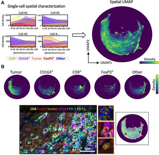 Spatial UMAP and Image Cytometry for Topographic Immuno-oncology ...