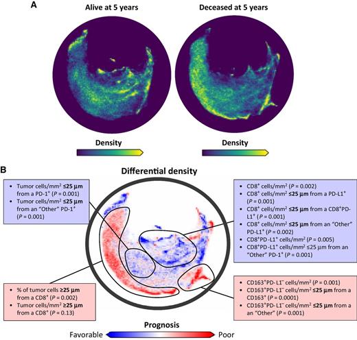 Spatial UMAP and Image Cytometry for Topographic Immuno-oncology ...