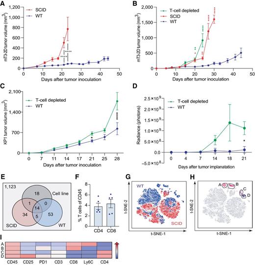 Figure 1. T-cell immunity incompletely regulates pancreatic cancer tumor growth. A, Growth curves depicting average subcutaneous mT3-2D tumor volumes (±SEM) grown in syngeneic WT (n = 9) and SCID (n = 13) C57BL/6J mice. Two-way ANOVA followed by Bonferroni multiple comparison test was used for the analysis. Representative of two experiments. B, Growth curves depicting average subcutaneous mT3-2D tumor volumes (±SEM) grown in WT, SCID, and T-cell–depleted C57BL/6J mice (n = 10/group). Two-way ANOVA followed by the Tukey multiple comparison test was used for the analysis up to the time point day 24. Two-way ANOVA followed by Bonferroni multiple comparison test was used for the analysis of days 27 and 30. Green asterisks: statistical significance between WT and T-cell–depleted tumors; red asterisks: statistical significance between WT and SCID tumors. Representative of two experiments. C, Growth curves depicting average subcutaneous KP1 tumor volumes (±SEM) grown in syngeneic WT (n = 15) and T-cell–depleted (n = 15) C57BL/6J mice. Two-way ANOVA followed by the Bonferroni multiple comparison test was used for the analysis. Representative of two experiments. D, Analysis of the IVIS images revealing the average orthotopic mT3-2D tumor growth (±SEM) in WT (n = 15) and T-cell–depleted (n = 15) C57BL/6J mice. Two-way ANOVA followed by the Bonferroni multiple comparison test was used for the analysis. Representative of two experiments. E, Number of neoepitopes predicted by pVACtools for the mT3-2D cells, combined five SCID tumors, and combined five WT tumors. F, Percentage of T cells (CD3+CD4+CD8− or CD3+CD4−CD8+ cells) in immunocompetent tumors detected by flow cytometry and represented as mean ± SEM frequency of CD45+ cells (n = 5). Representative of two experiments. G, t-SNE plot of immune cells from WT (blue) and SCID (red) tumors. Live/CD45+ cells from WT and SCID tumors were used to generate a t-SNE map, clustering cells based on the expression of their surface markers, as described in the Materials and Methods section (n = 5/group). H, Cells in the t-SNE plot were subclustered using PhenoGraph. CD8+ T-cell clusters in pink (clusters A and B) and CD4+ T-cell clusters in purple (clusters C and D; n = 5/group). I, T-cell clusters were further characterized using ClusterExplorer analysis, representing the median fluorescence intensity of the selected markers in a heat map format. *, P < 0.05; **, P < 0.01; ****, P < 0.001.