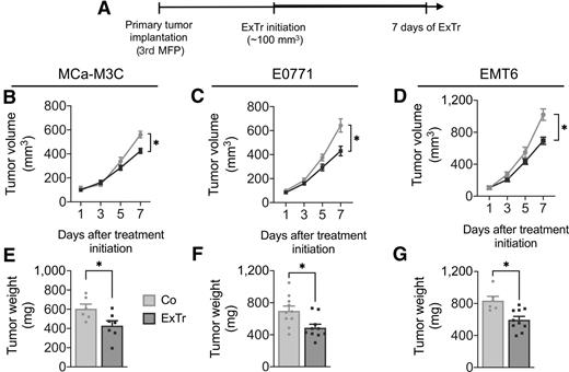 Figure 1. Impact of ExTr on tumor progression in established breast tumors A, Experimental design of the study: MCa-M3C (in FVB), E0771 (in C57BL/6), and EMT6 (in Balb/c) tumors were implanted in the mammary fat pad (MFP) of immunocompetent female mice. When tumors reached approximately 100 mm3 in size, mice underwent intensity-controlled, moderate-to-vigorous aerobic ExTr (60% of maximal running velocity) or remained sedentary (control) for 7 consecutive days. B–D, Tumor growth in MCa-M3C (n = 6–7; B), E0771 (n = 10; C), and EMT6 (n = 6–10; D) tumor models in response to 7 days of ExTr. E–G, Tumor weight after 7 days of ExTr of the mouse breast cancer models. Statistical comparison by two-way ANOVA (B–D) or unpaired Student t test (E–G). Data presented as mean ± SEM. *, P < 0.05.
