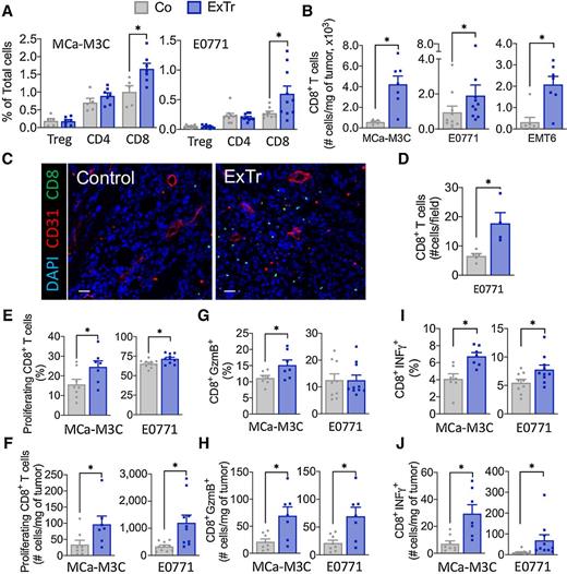 Figure 4. ExTr improves infiltration and effector function of CD8+ T cells in breast tumors. A, Flow cytometric analysis of tumor-infiltrating TCR+CD4+FOXP3+ (regulatory T cells, Treg), TCR+CD4+, and TCR+CD8+ T cells, assessed as percentage of total cells in breast tumors. Co, control. B, Number of CD8 T cells in the three breast cancer models. C, Representative immunofluorescence image [red indicates vessels (CD31+), and green indicates CD8+ T cells] and quantification of tumor immunohistochemistry images of CD8+ T cells per field. Scale bar, 25 μm (n = 5 mice per group). D, Absolute number of CD8+ T cells per field. E–J, CD8+ T-cell functions. E and F, Proliferating (Ki67+) CD8+ T cells. Granzyme B+ (G and H) and IFNγ+ (I and J) CD8+ T cells. For flow cytometry, two to three independent experiments were performed, and the results are representative of one single experiment (n = 6–10 mice per group). Statistical differences comparing groups by unpaired Student t test. Data presented as mean ± SEM. *, P < 0.05.