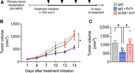 Figure 5. CD8+ T cells are required for the antitumor effect of ExTr in established breast tumors. A, Experimental design of the study. When MCa-M3C tumors reached approximately 100 mm3, mice underwent daily ExTr (60% of maximal exercise velocity for 14 days) and treatment with anti-CD8β or isotype control IgG (250 μg, i.p., every 4 days; black arrowheads) or kept sedentary with IgG treatment. MFP, mammary fat pad. B and C, Effects of antibody-mediated CD8+ T-cell depletion (αCD8β) on the antitumor effect of ExTr as measured by tumor growth (B; two-way ANOVA) and final tumor volume (C; one-way ANOVA); n = 7–8 per group. Data presented as mean ± SEM. *, P < 0.05.