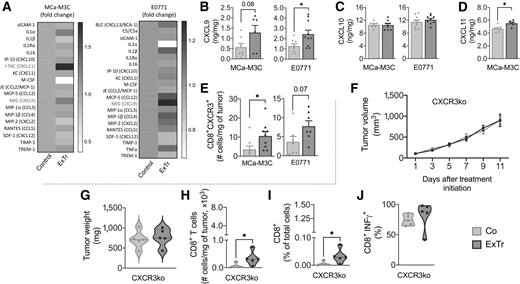 Figure 6. CXCL9/11–CXCR3 pathway is required for the CD8+ T-cell–mediated antitumor effect of ExTr. A, Heat map of cytokine array on MCa-M3C and E0771 tumors (pooled samples from n = 6 mice per group). B–D, ELISA of chemokines CXCL9 (B), CXCL10 (C), and CXCL11 (D) in bulk tumors after 7 days of ExTr (n = 6–10 per group, samples run in duplicate). E, Absolute number of CXCR3+CD8+ T cells for both MCa-M3C and E0771 tumor models (flow cytometry). F and G, We implanted E0771 tumors in Cxcr3−/− mice (C57BL/6 background). When tumors reached approximately 100 mm3, mice started ExTr (daily sessions at 60% of maximal exercise velocity for 11 days) or were kept sedentary. Tumor growth (F) and final tumor weight (G) in Cxcr3−/− mice. Total (H) and relative (I) tumor infiltration of CD8+ T cells in Cxcr3−/− mice. Co, control. J, CD8+ T-cell expression of IFNγ in both groups. n = 5 mice/group. Statistical differences comparing groups by unpaired Student t test (B–E), two-way ANOVA (F), and Mann–Whitney test (G–J). Data presented as mean ± SEM or median ± interquartile range and distribution (violin plot; G–J). *, P < 0.05.
