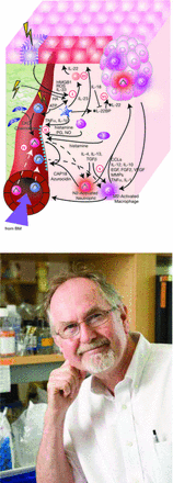 Issue cover image