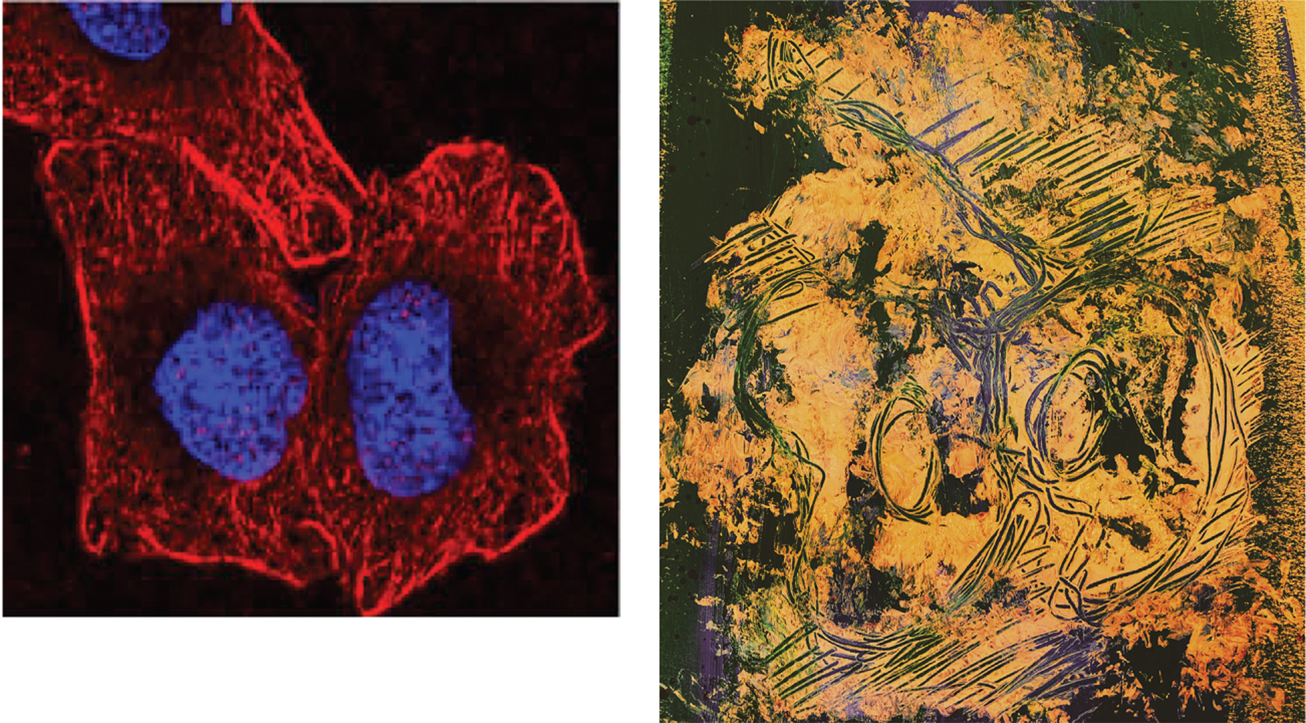 Issue cover image