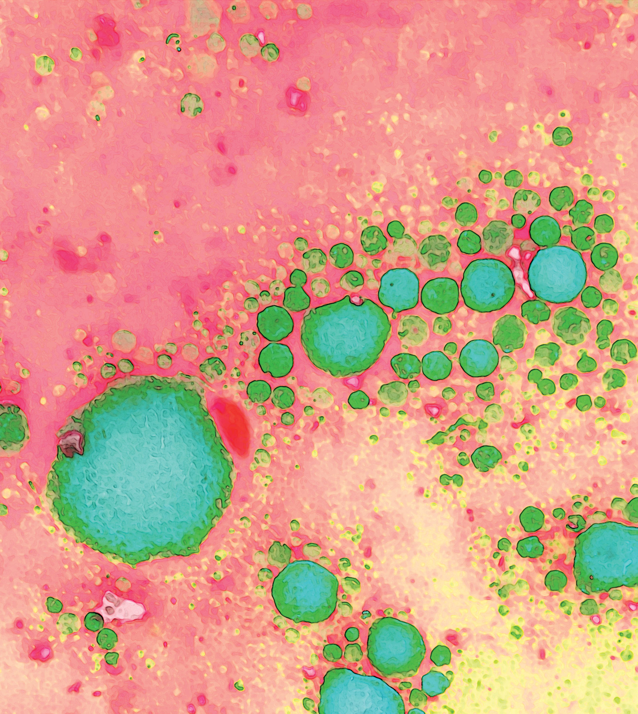 Issue cover image
