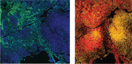 Issue cover image