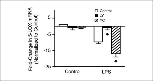 Fig. 4. The LPS-induced down-regulation of 5-LOX mRNA expression in BAL cells may be mediated via the cGMP signaling pathway. BAL cells from ex-smokers were preconditioned with the guanylyl cyclase inhibitor LY-83583 (at 10 μmol/L) or the guanylyl cyclase activator YC-1 (at 20 μmol/L) for 1 h, then stimulated with LPS (at 5 μg/mL) for 24 h. Inhibition of cGMP formation abrogated the LPS-induced decrease of 5-LOX mRNA expression whereas activation of guanylyl cyclase further accentuated the down-regulation. n = 3. *, P < 0.05.