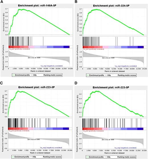 Figure 4. The negatively correlated and predicted gene targets of the four differentially expressed miRNAs are enriched among genes that are expressed more highly in the bronchial airway of patients with cancer: the distribution of gene sets consisting of negatively correlated and predicted targets of miR-146a-5p (A; 50 genes), miR-324-5p (B; 43 genes), miR-223-3p (C; 89 genes), and miR-223-5p (D; 72 genes) was examined in a list of genes ranked in the discovery set (n = 138) by the association of their expression levels with cancer status in bronchial airway samples using GSEA. All of these gene sets are significantly enriched among the genes most induced in the bronchial airway of patients with lung cancer (GSEA q < 0.001 for each). The red to blue bar shows all genes ranked from most induced in the bronchial airway of patients with cancer to most repressed (as shown in the distribution of t statistics at the bottom), while the set of vertical black lines in each panel shows the position of the predicted gene targets of each of the miRNAs whose expression is significantly negatively correlated with that miRNA. The green line is the running enrichment score, which has a significantly positive maximum in each panel, indicating that these genes are enriched among the genes most induced in patients with cancer.