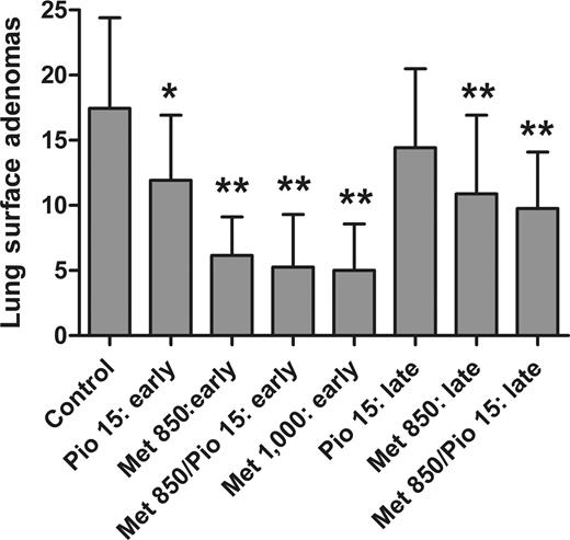Figure 3. Effect of pioglitazone and metformin in an early- versus late-stage intervention model. Treatment with metformin alone and in combination with pioglitazone resulted in statistically significant decreases in lung adenoma formation at both early- and late-stage interventions versus control. Pioglitazone alone resulted in significant decrease in adenoma formation only at the early treatment intervention. *, P < 0.01; **, P < 0.001.