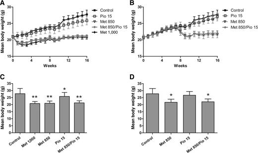 Figure 4. Effect of treatment on animal weight gain. Animals in the metformin groups experienced a 15% decrease in weight upon treatment onset in both the early- and the late-stage administration followed by a weight plateau and a slower rate of weight gain (A and B), resulting in final body weights lower than in non–metformin-treated animals (C and D). t test: *, P < 0.05; **, P < 0.0001.