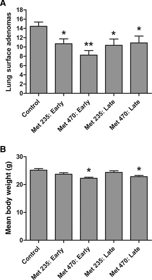 Figure 5. Effect of low-dose 235 and 470 mg/kg/d dietary metformin on lung adenoma formation. A, Treatment with metformin alone resulted in statistically significant decreases in lung adenoma formation at the early-stage intervention and a strong trend toward decreases by one-way ANOVA. B, At the conclusion of the experiment, the animals treated with 470 mg/kg/d metformin experienced a small lack of weight gain of approximately 10%. t test: *, P < 0.05; **, P < 0.0001.