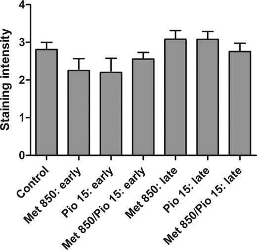Figure 6. IHC analysis of cyclin D1 in lung adenoma tissue. Adenomas from each treatment group (excluding the 1,000 mg/kg/day metformin alone) from early- and late-stage interventions were analyzed via IHC for cyclin D1. No statistically significant differences in staining intensity or observed stained nuclei were detected after Kruskal–Wallis testing.