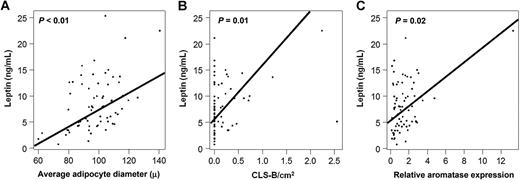 Figure 4. Circulating levels of leptin positively correlate with adipocyte size, breast WAT inflammation, and aromatase expression. A, Blood leptin levels correlate with average adipocyte size (P < 0.01). B, Circulating leptin levels correlate with severity of breast WAT inflammation (P = 0.01). C, Blood leptin levels correlate with aromatase expression in the breast (P = 0.02).