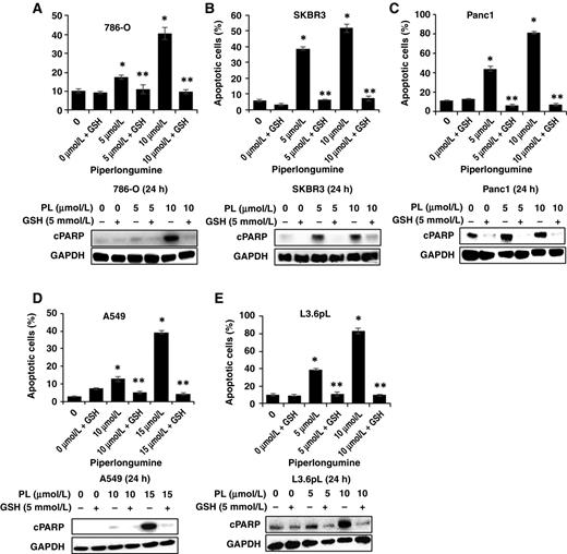 Figure 3. Piperlongumine induces apoptosis in cancer cells. A–E, 786-O (A), SKBR3 (B), Panc1 (C), A549 (D), and L3.6pL (E) cells were treated with 5 mmol/L GSH and different concentrations of piperlongumine alone and in combination and after 24 hours; effects on Annexin V staining and PARP cleavage were determined fluorimetrically or by Western blot analyses of whole-cell lysates, respectively, as outlined in the Materials and Methods. Results of Annexin V staining are expressed as means ± SEM of at least three replicate determinations, and significant (P < 0.05) induction of Annexin V (*) and inhibition by GSH (**) are indicated.