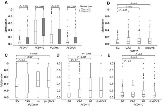 Figure 1. The methylation levels of selected candidate genes in different H. pylori infection status and gastric lesions. A, For comparison of DNA methylation levels in different H. pylori infection status, P values were calculated by Wilcoxon rank-sum tests between H. pylori–negative and –positive groups. B–E, For comparison of the methylation levels of PCDH7, PCDH10, PCDH17, and PCDH20 in different gastric lesions, the P values were calculated by the Dwass–Steel–Critchlow–Fligner rank test between SG subjects and CAG, IM, Ind DYS/DYS groups.