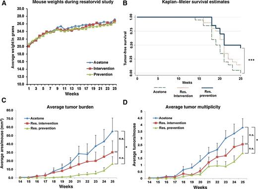Figure 3. Topical resatorvid blocks UV-induced skin tumorigenesis in SKH-1 mice. A, Female SKH-1 mice were exposed to SSL three times a week for 15 weeks as described (Fig. 2A). Chronic exposure to topical resatorvid did not cause overt toxicity, as evidenced by similar weight gain between all treatment groups. B, The Resatorvid Prevention group had significantly increased tumor latency compared with acetone controls as revealed by Kaplan–Meier survival analysis. C, At sacrifice (week 25), the Resatorvid Prevention group displayed a significant reduction in average tumor burden versus the Acetone control group; the Resatorvid Intervention group displayed reduced tumor burden that was not statistically significant. D, Similarly, at sacrifice, the Resatorvid Prevention group displayed significantly reduced tumor multiplicity compared with Acetone controls, while reductions in tumor multiplicity in the Resatorvid Intervention group did not reach the level of statistical significance. *, P < 0.05; ***, P < 0.001.