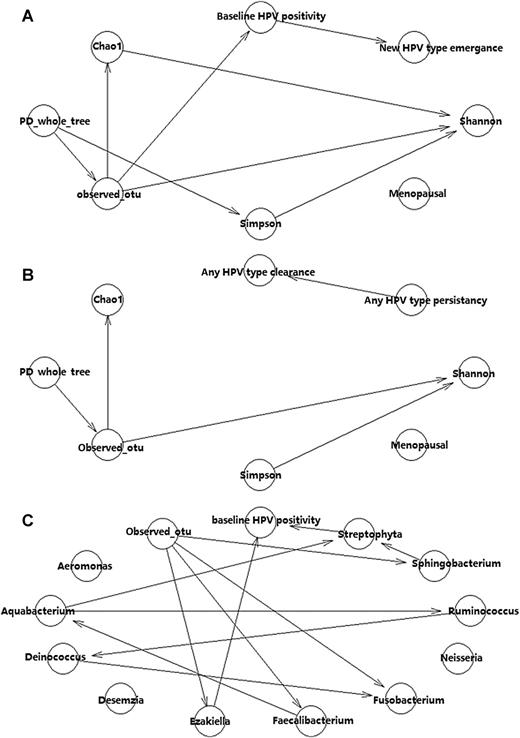Figure 4. Bayesian network showing the dependencies between/among variables selected on the basis of their association.