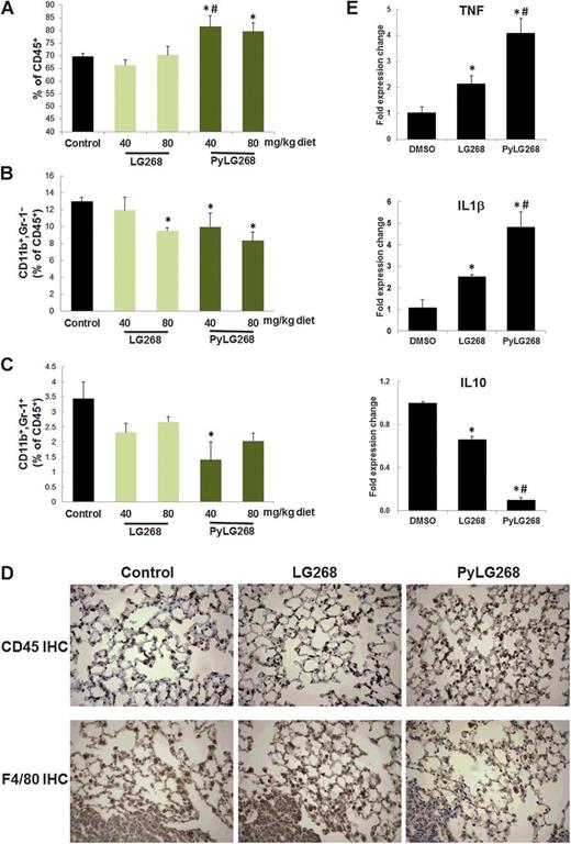 Figure 2. PyLG268 reduces the percentage of macrophages and MDSCs in the lung and redirects the activation of macrophages to an M1 phenotype. A–C, Two lobes of the right lung from A/J mice injected with vinyl carbamate and fed rexinoids in diet for 16 weeks were removed at the end of the study to analyze immune populations by flow cytometry. Percentage of CD45+ total immune cells, macrophages (CD45+, CD11b+, Gr-1−), and myeloid-derived suppressor cells (CD45+, CD11b+, Gr-1+) in the lung are shown respectively from A to C. Results shown as mean ± SEM. N = 4–8 mice/group. *, P < 0.05 vs. control; #, P < 0.05 vs. LG268 40 mg/kg diet group. D, IHC staining of CD45 (immune cells) and F4/80 (macrophages) in the lung. E, BMDMs were isolated from mice and skewed to an M2 phenotype by treating with 20 ng/mL M-CSF for 7 days. The differentiated cells were then treated with DMSO or 100 nmol/L rexinoids and all cells stimulated with 100 ng/mL LPS for 24 hours. The expression of cytokines characteristic of M1 (TNFα and IL1β) and M2 (IL10) phenotypes were detected by real-time PCR. Results were normalized to DMSO controls. Results shown as mean ± SD (*, P < 0.05 vs. control; #, P < 0.05 vs. LG268).