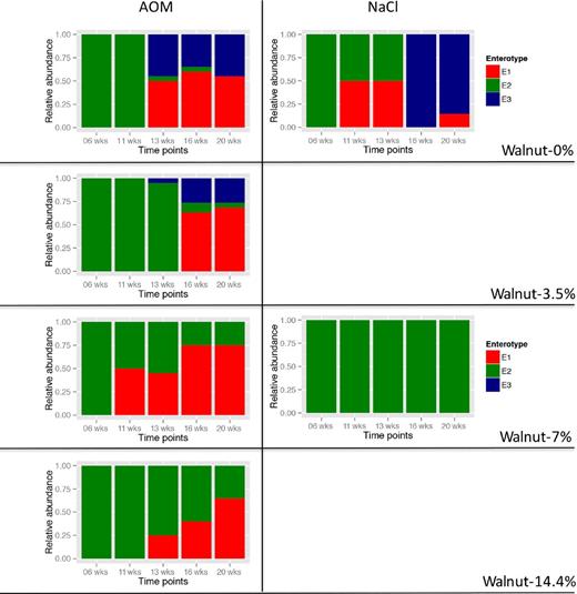 Colon Cancer Prevention with Walnuts A Longitudinal Study in Mice from the Perspective of a Gut