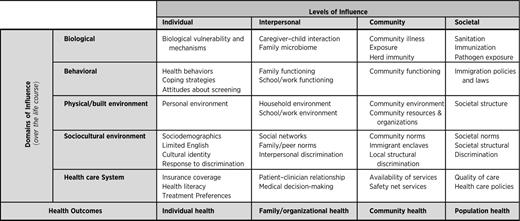 Adapted NIMHD minority health and health disparities research framework (https://www.nimhd.nih.gov/about/overview/research-framework.html).