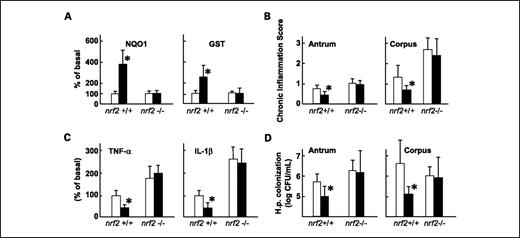 Fig. 3. Effects of feeding broccoli sprouts (▪) compared with untreated controls (□) on gastric mucosa of H. pylori–infected, high-salt diet–treated nrf2−/− mice compared with nrf2+/+ mice (*, P < 0.05, for broccoli sprout versus control; n = 5 per treatment). A, phase 2 enzyme activity: NQO1 and GST. B, chronic inflammation. C, TNF-α and IL-1β expression. D, H. pylori colonization.