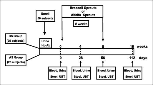 Fig. 4. Protocol for the human clinical intervention.