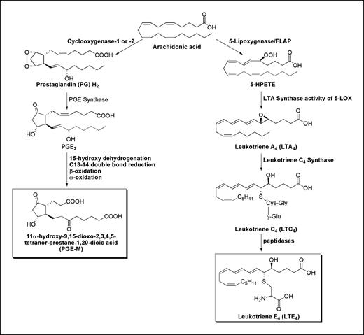 Levels of Prostaglandin E Metabolite and Leukotriene E4 Are Increased ...