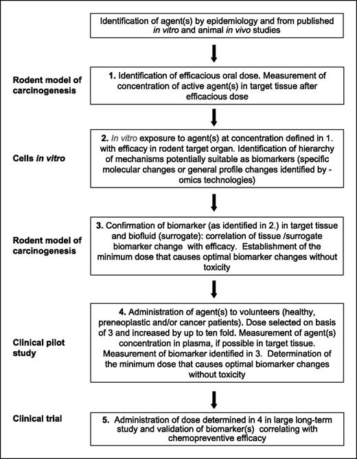 Fig. 1. Proposed steps in the development of dietary chemopreventive agents.