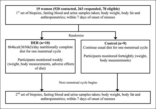 Fig. 1. Study design flowchart. Experimental design and sampling of the biopsies for the DER and control arms of the study.