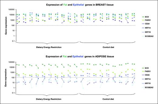 Fig. 4. Changes in the level of gene expression of fat metabolism and epithelial-specific genes in adipose and breast tissue. Level of expression using MAS5 normalization. Before (left) and after (right) measurements are shown for each patient linked with a line. Open symbols, genes that are called “absent” or “marginal.” Dashed line, the majority of genes with expression levels <100 are called absent.