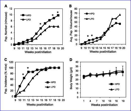 Fig. 4. HPD promotes skin tumorigenesis in DMBA/TPA-treated FVB/N mice. A, HPD increases skin papilloma number in DMBA/TPA-treated FVB/N mice: skin papilloma numbers were counted weekly from 14 mice/group that were fed for 19 wk with HPD (1.2% Pi) or LPD (0.2% Pi) starting with the DMBA initiation. *, differences between dietary groups at P < 0.05. B, HPD accelerates early skin papilloma growth: skin papilloma dimensions were measured weekly from 14 mice/group that were fed for 19 wk with HPD or LPD starting with the DMBA initiation. *, differences between dietary groups at P < 0.05. C, HPD accelerates the first appearance of skin papilloma number in DMBA/TPA-treated FVB/N mice: skin papilloma numbers were counted weekly from 14 mice/group that were fed for 19 wk with HPD (1.2% Pi) or LPDs (0.2% Pi) starting with the DMBA initiation. *, differences between dietary groups at P ≤ 0.05. D, the LPD does not affect body weight in DMBA/TPA-treated FVB/N mice: individual body weight was measured every 3 wk from 14 mice/group that were fed for 19 wk with HPD or LPD starting with the DMBA initiation.
