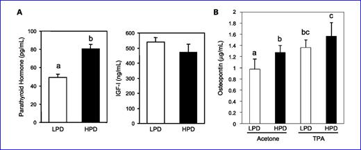 Fig. 5. A HPD increases serum concentrations of PTH in FVB/N mice and osteopontin (OPN) in TPA-treated FVB/N mice. A, a HPD increases serum concentrations of PTH, but not insulin growth factor-I in FVB/N mice: serum samples were taken from five mice per group that were fed for 5 wk with HPD (1.2% Pi) or LPDs (0.2% Pi), and analyzed for PTH and insulin growth factor-I. Columns with different characters differ at P < 0.05. B, a HPD increases the serum concentrations of OPN in TPA-treated FVB/N mice: serum samples were taken from six mice per group that were fed for 2 wk with HPD (1.2% Pi) or LPD (0.2% Pi), and then were treated topically 6 h before sample collection with acetone (control) or 10 nmol/L of TPA in acetone. Columns with different characters differ at P < 0.01.