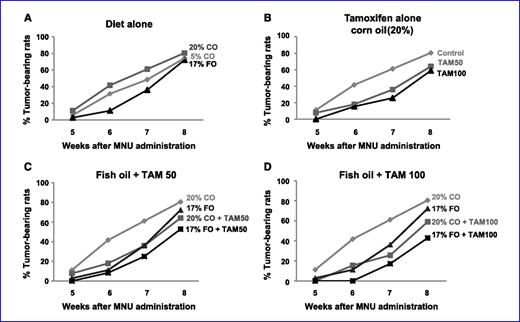 Fig. 1. Effects of dietary interventions and tamoxifen administration on mammary carcinogenesis. A-D, groups of 21-d-old MNU-injected rats (n = 35-39 per group) were randomly assigned to the indicated experimental interventions (see Materials and Methods). See text for statistical analysis. CO, corn oil; FO, fish oil; TAM50, 50 μg/kg tamoxifen, s.c., 5 d/wk; TAM100, 100 μg/kg tamoxifen, s.c., 5 d/wk.