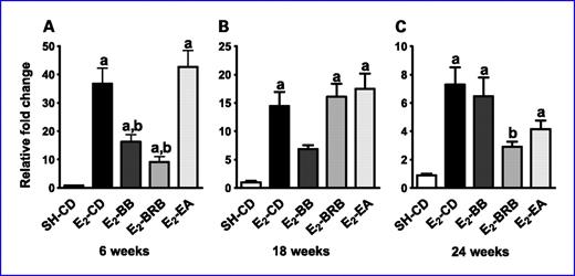 Fig. 1. A to C, effect of berry and ellagic acid diets on E2-induced elevation in CYP1A1 expression. ACI rats (n = 6) were treated with E2 (27 mg) for 6 (A), 18 (B), or 24 (C) wk and fed either a control diet (E2-CD) or diet supplemented with 2.5% (w/w) black raspberry (E2-BRB), blueberry (E2-BB), or E2 + 400 ppm ellagic acid (E2-EA). The whole mammary mRNA was analyzed for CYP1A1 expression using qRT-PCR as described in Materials and Methods. The relative fold change was calculated using the 2−ΔΔCT method with a sample from SH-CD as the calibrator for each particular time point. a, P < 0.0001, significantly different from SH-CD; b, P < 0.005, significantly different from E2-CD.