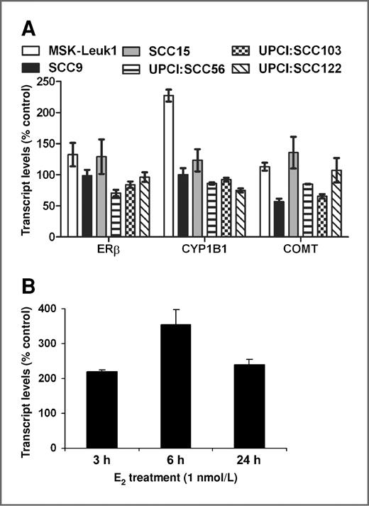 Figure 2. A, effect of E2 (1 nmol/L for 24 hours) on the expression of ERβ, CYP1B1, and COMT in cultured human premalignant (MSK-Leuk1) and malignant (SCC) head and neck cells. B, time course of the effect of E2 treatment (1 nmol/L) on CYP1B1 transcript levels in MSK-Leuk1 cells. Cells were incubated in phenol red–free (MSK-Leuk1 and HNSCC cells) and charcoal-stripped, serum-supplemented media (HNSCC cells) for 3 days prior to E2 exposure. Bars represent mean percent ± SE relative to vehicle-treated control (100%).