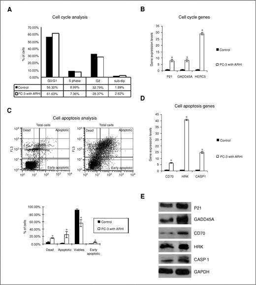 Figure 4. Overexpression of ARHI regulates cell cycle progression and induces apoptosis. A, flow cytometric analysis of cell cycle distribution in PC-3 cells overexpressing ARHI. PC-3 cells were harvested 48 hours after transfecting with either empty vector or ARHI plasmid. Cell nuclei were stained with DAPI and analyzed by flow cytometry. B, cell cycle genes altered by overexpression of ARHI in PC-3 cells. ARHI-regulated genes were identified by cDNA expression profiling of cell cycle–related genes. The relative expression of genes was confirmed by RT-PCR by using TaqMan gene expression assays. Data were normalized by GAPDH signals. C, flow cytometric analysis of cell apoptosis in PC-3 cells overexpressing ARHI. PC-3 cells were harvested 48 hours after transfection with either pCMV6 empty vector or pCMV6-ARHI plasmid followed by dual staining with viability dye 7-AAD and AnnexinV-FITC. A typical dual staining is represented in the biparametric histograms and shows cells in early (lower right quadrant) and late apoptotic states (upper right quandrant). Viable cells are double negative (lower left quandrant). D, apoptotic genes affected by overexpression of ARHI. Genes were identified by cDNA expression profiling of cell apoptosis-related genes and confirmed by RT-PCR using TaqMan primers. Data were normalized by GAPDH signals. E, Western blot of ARHI regulated cell cycle and apoptosis pathway genes. Data were normalized to GAPDH *, P < 0.05.