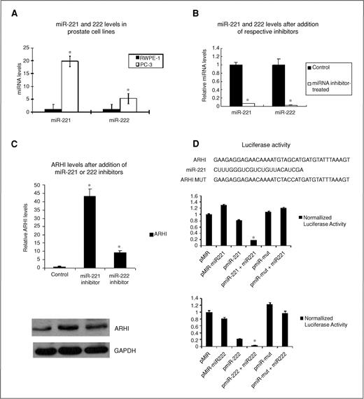 Figure 5. The ARHI 3′-UTR is a target of miR-221 and miR-222, which are upregulated in PC-3 cells. A, this panel displays miR-221 and miR-222 levels in prostate RWPE-1 cells (black) and prostate cancer PC-3 cells (gray) by RT-PCR. Data were normalized to RNU48 signals. B, MiRNA levels after treatment with miRNA inhibitors. Left two bars are miR-221 levels detected by RT-PCR before and after miR-221 inhibitor treatment. Right two bars are miR-222 levels before and after miR-222 inhibitor treatment. Data were normalized to RNU48 signals. C, RT-PCR and Western blot of ARHI mRNA and protein levels in PC-3 cells treated with control (left), miRNA-221 inhibitor (middle), and miRNA-222 inhibitor (right). Data were normalized to GAPDH signals. D, schematic representation of the miR221/222 target sequence with the 3′-UTR of ARHI. The top graph shows relative luciferase activity after PC-3 cells were transfected with pMIR-empty vector (pMIR), pMIR containing the miR-221 target sequence (pMIR-miR221) and pMIR with miR-221-mutated target sequence (pMIR-mut). Data also show cotransfection of miR-221 precursor. The bottom graph shows luciferase activity after PC-3 cells were transfected with pMIR, pMIR containing miR-222 targeting sequence (pMIR-miR222) and pMIR with miR-222-mutated target sequence (pMIR-mut) with or without miR-222 precursor. *, P < 0.05.