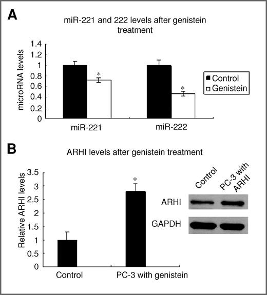 Figure 6. Genistein upregulates ARHI levels by downregulating miR-221 and miR-222. A, MiR-221 and miR-222 levels after genistein treatment. PC-3 cells were treated with 50 μmol/L genistein for 96 hours, and miR-221 (left) and miR-222 levels (right) were analyzed by RT-PCR. Data were normalized to RNU48 signals. B, relative ARHI mRNA and protein levels in PC-3 cells before and after 50 μmol/L genistein treatment for 96 hours by RT-PCR and Western blot. Data were normalized to GAPDH. *, P < 0.05.