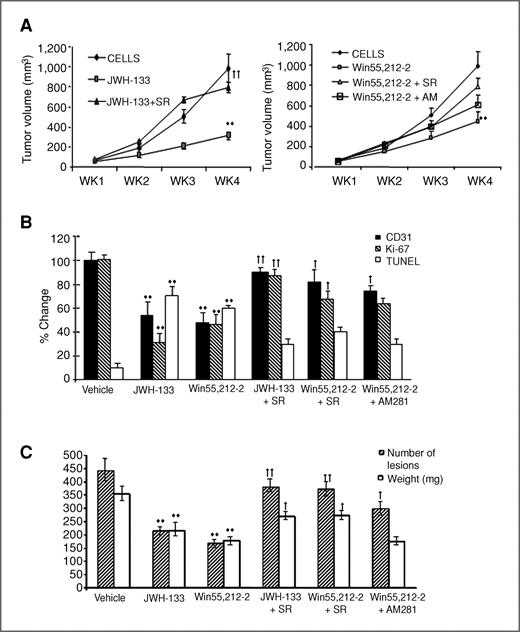 Figure 5. CB1 and CB2 receptor activation inhibits the xenograft growth and metastasis of lung tumors in SCID mice. A549 cells were injected subcutaneously (3 × 106) and intravenously (1 × 106) into immunodeficient SCID mice. Experimental mice were given JWH-133 (1 mg/kg body weight) and Win55,212-2 (0.1 mg/kg body weight) daily for 28 days starting 14 days and 1 day after injection of the cells subcutaneously and intravenously, respectively. At the end of the experiment, the animals were sacrificed and tumors and lungs were harvested and weighed before evaluation of other parameters such as angiogenesis, proliferation, apoptosis (in tumors), and metastatic lesions (on lungs). Receptor-mediated inhibitory effects of cannabinoids were partially reversed with animals treated with different combinations of agonist and antagonists, AM281 (AM) for CB1 and SR144528 (SR) for CB2. A, receptor-mediated reduction in tumor growth. B, changes in the levels of proliferation (% staining for Ki-67), vascularization (% staining for CD31), and apoptosis (positive TUNEL staining) with treatment with cannabinoids compared with untreated animals. C, receptor-mediated inhibition of metastatic lesions and lung weight. **, P < 0.001, †, P < 0.05; ††, P < 0.001; compared to cannabinoid-treated animals.