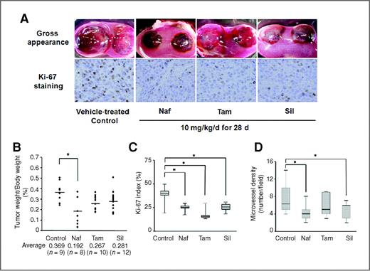 Figure 2. Effect of subtype-selective α1-AR antagonists on tumorigenesis of E9 + PrSC. E9 cells and PrSC were combined in collagen gels and then grafted in athymic mice. Grafted mice were treated orally with an α1-AR antagonist (10 mg/kg/d) beginning 7 days after transplant and continued for 28 days. Tumor weights were measured 35 days after transplanting. A, characteristic gross appearances of E9 + PrSC tumors and representative images of Ki-67 stain of E9 + PrSC tumors. B, relative rate of E9 + PrSC tumor weights divided by body weight in mice treated with each subtype-selective α1-AR antagonist. *, P < 0.01 versus vehicle-treated control. C, the Ki-67 index in E9 + PrSC tumors. *, P < 0.01 versus vehicle-treated control. D, MVD in E9 + PrSC tumors. CD31-positive vessels with lumens were counted in 10 different areas at 200× magnification. *, P < 0.01 versus vehicle-treated control. Naf, naftopidil; Tam, tamsulosin; Sil, silodosin.