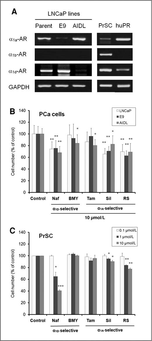 Figure 3. Effects of subtype-selective α1-AR antagonists on cell proliferation in vitro. A, gene expression of α1-AR subtypes in PCa cells and PrSC. cDNA made from normal human prostate (huPR) poly A + RNA was used as a positive control. The products were resolved on 1.6% agarose gels and visualized with ethidium bromide. B, effects of subtype-selective α1-AR antagonists on PCa cell proliferation in vitro. PCa cells were exposed to 10 μmol/L of each α1-AR antagonist for 4 days. C, PrSC was exposed to various concentrations (0.1, 1, and 10 μmol/L) of each α1-AR antagonist for 3 days. Values represent the means ± SD percentage of viable cells. *, P < 0.05; **, P < 0.01; ***, P < 0.001 versus vehicle-treated control. Naf, naftopidil; BMY, BMY7378; Tam, tamsulosin; Sil, silodosin; RS, RS100329.