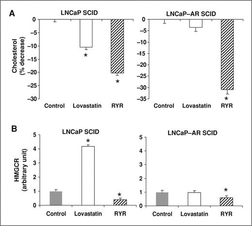 Figure 4. A, RYR effects on cholesterol levels. RYR reduced serum cholesterol levels more than 15% of control in androgen-dependent and -independent SCID mice. B, RYR effects on HMGCR gene expression. RYR downregulated HMGCR gene expression in both types of xenografted tumors. In contrast, lovastatin drug increased HMGCR gene expression in LNCaP xenograft animal. Values are mean ± SE. *, significantly different from control at P < 0.05.